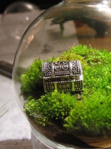 6727218759_7e57510553_z