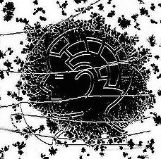 2453788025_fd51aeb4d9_z